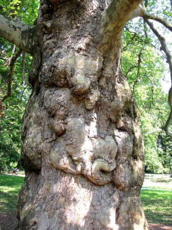 CZE Brno Lužánky park 